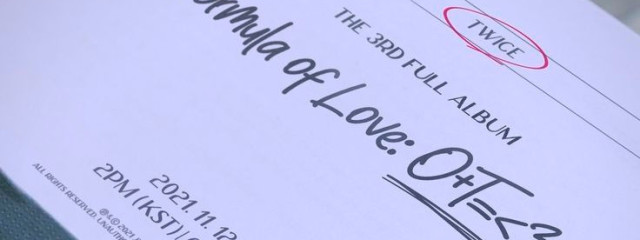 マメたんさんの壁紙画像