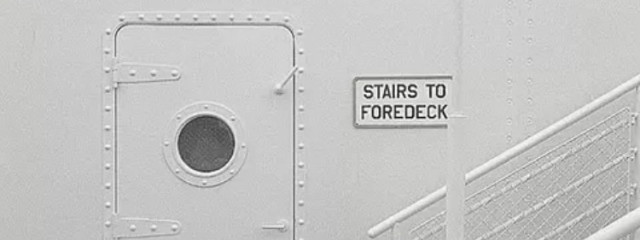 コ ハ ク .さんの壁紙画像