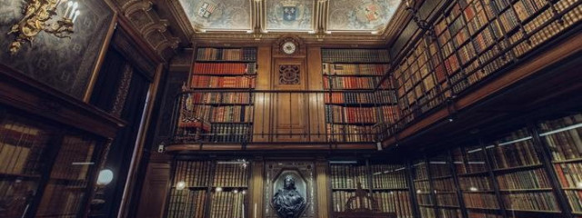 carrot.さんの壁紙画像