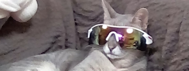 BOFUZAKIさんの壁紙画像