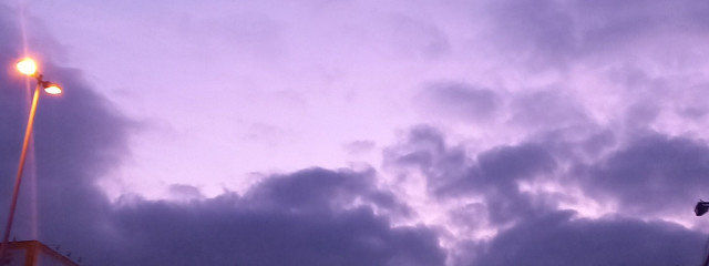 藍虎6姉妹(兄弟)9️⃣さんの壁紙画像