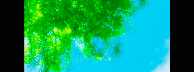 青春🦄さんの壁紙画像