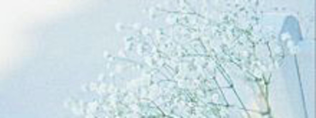 💛さんの壁紙画像