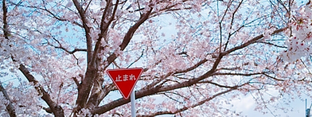 モノクロ姫歌🍀さんの壁紙画像
