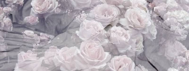 結 衣 。あ お 🌌さんの壁紙画像