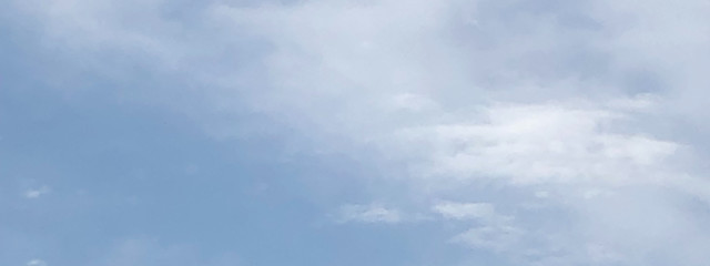 aviさんの壁紙画像
