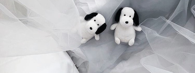 八重歯さんの壁紙画像