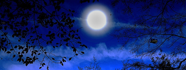 澪さんの壁紙画像