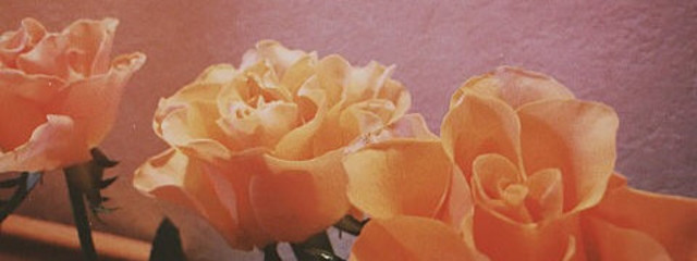 โค๐๐ใใ
ใ๐๐โกใใใฎๅฃ็ด็ปๅ