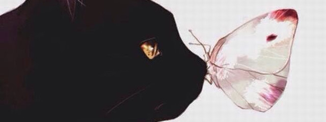 さくしゃさんの壁紙画像