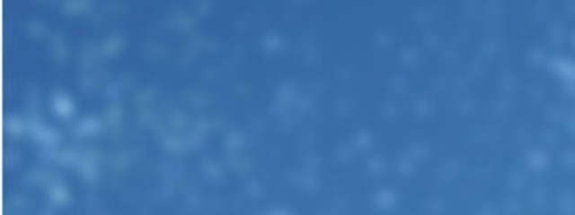 低音ないちご君さんの壁紙画像