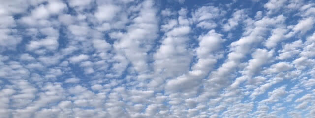 つばさᐡ｡› ·̫ ‹｡ᐡ‪ 🌱‬🖇さんの壁紙画像