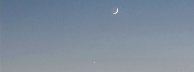 ゆんはな🐱🐥さんの壁紙画像