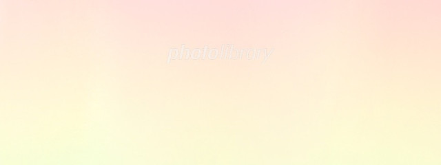 (๑'ᴗ'๑)さんの壁紙画像