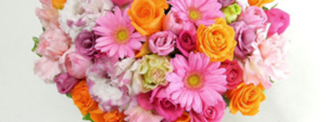 🐾悠犬-ゆいわん-🐾さんの壁紙画像