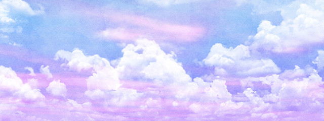 ✗ミズクラゲ✓さんの壁紙画像