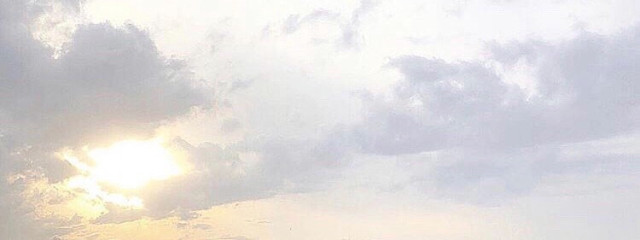 しおりんご。さんの壁紙画像