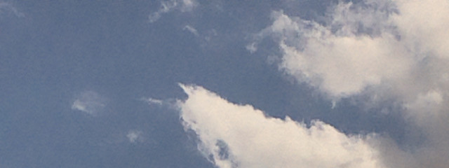 🧸 春 雨 宙さんの壁紙画像