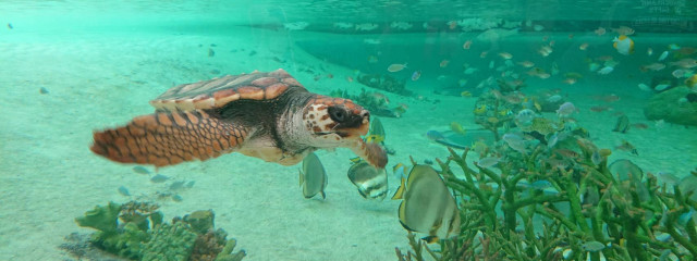 지후.さんの壁紙画像