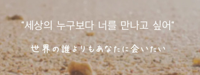 🥀 るぅ 🥀さんの壁紙画像