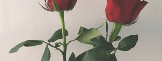 夢月☾.*·̩͙さんの壁紙画像