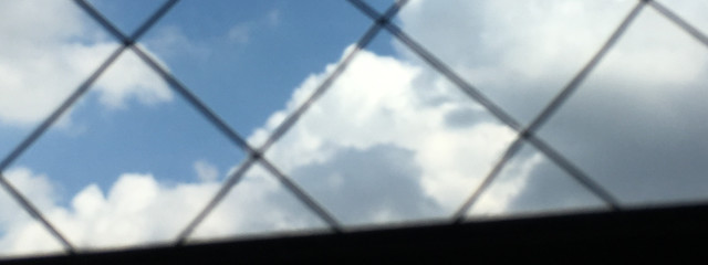 ミカヅキさんの壁紙画像