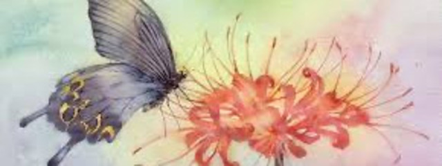 月光 🌙💫さんの壁紙画像