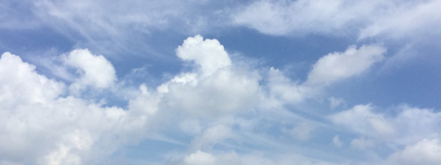C:-miiiさんの壁紙画像