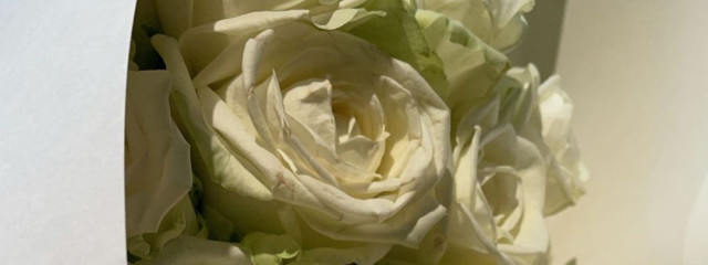 Taekookさんの壁紙画像