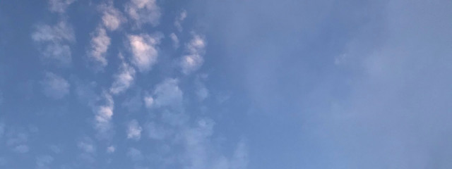 黄桜さんの壁紙画像