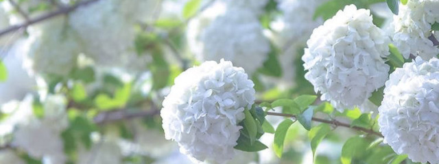 水登。さんの壁紙画像