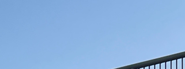 ただのたまさん@🐈🪶さんの壁紙画像