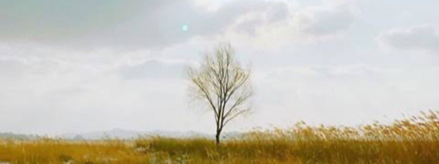 もなか☺︎さんの壁紙画像