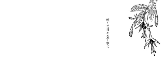 MIRAN(ФωФ)さんの壁紙画像