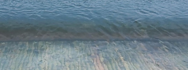 卍わんにゃん卍さんの壁紙画像