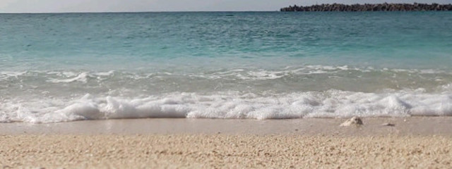 BABYさんの壁紙画像