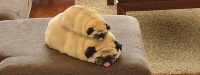 雫さんの壁紙画像