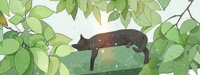 蒼空さんの壁紙画像