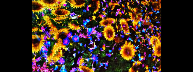 Pentagonさんの壁紙画像