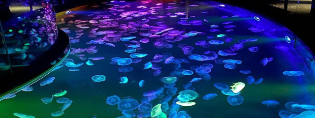 💜愛💛さんの壁紙画像