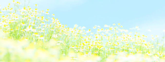 lemonさんの壁紙画像