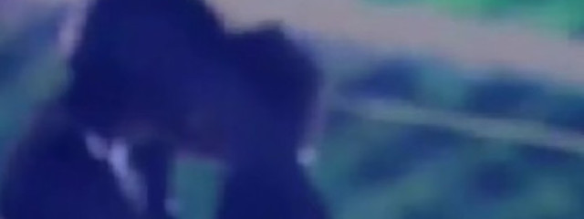 あうださんの壁紙画像