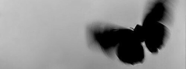 ラナさんの壁紙画像