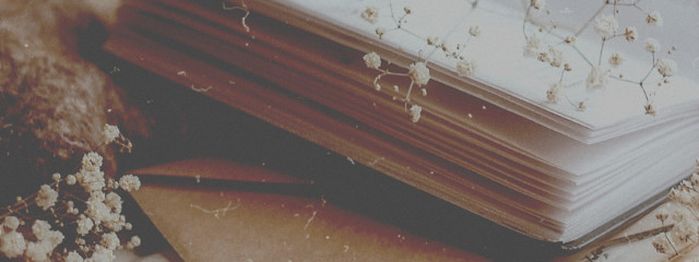 B2さんの壁紙画像