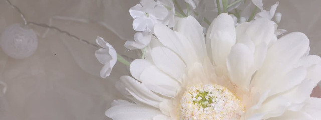 淚 懜 。さんの壁紙画像