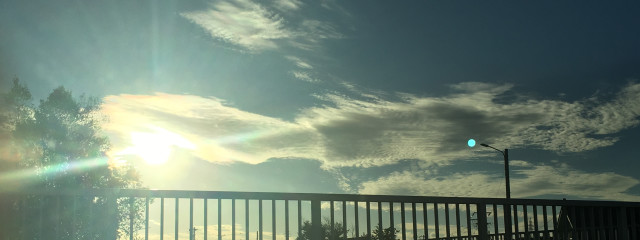 そらまめさんの壁紙画像