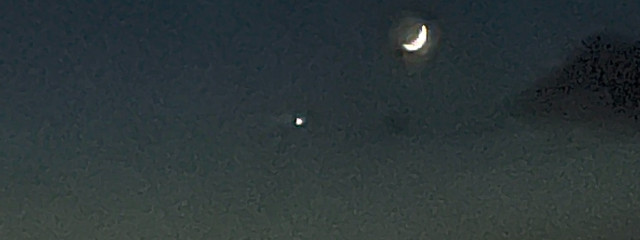 道枝のすみれ .さんの壁紙画像