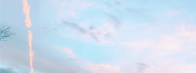 UMIさんの壁紙画像