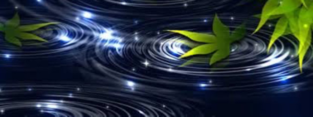 ゆもさんの壁紙画像