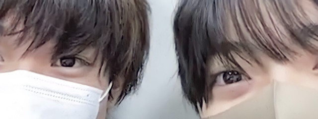 おさかなさんの壁紙画像